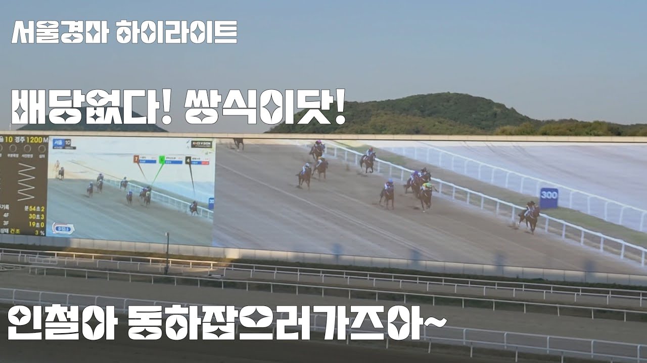 못잡을것같았는데 기어코 쫒아가서 잡아버리네~^^