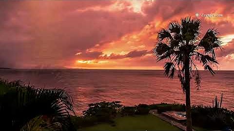 سورة طه بصوت القارئ يحيى عيشان