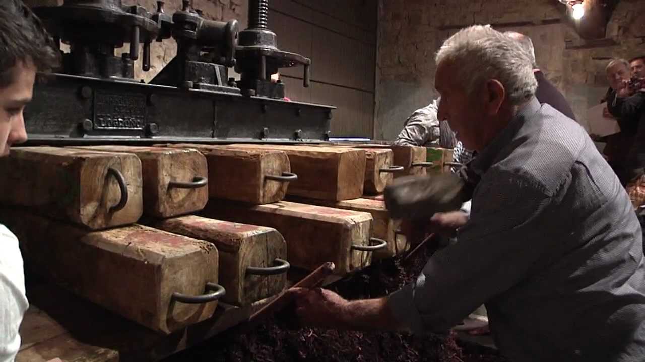 Bodegas Lecea - Fiesta del Pisado de la Uva (San Asensio, La Rioja)