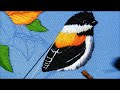 Como bordar un pájaro clase 3 How to embroidery a bird second class 3