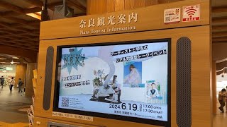 ☀️JR奈良駅 奈良観光案内 SCANDAL  RINA