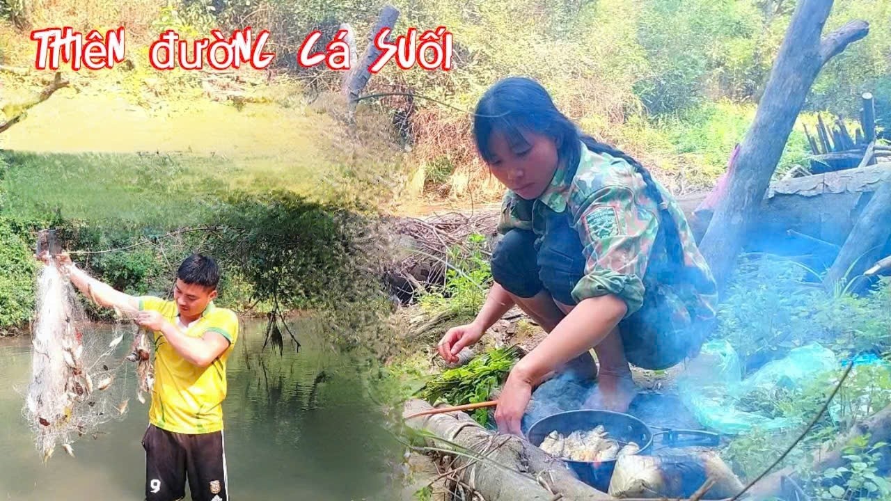 Thiên Đường Cá Suối , Suối Quá Nhiều Cá