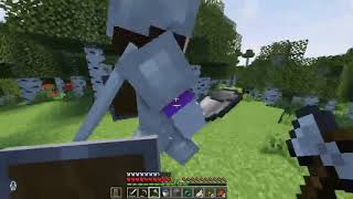 Protecting   the WORST Youtuber from ASSASSINS in Minecraft