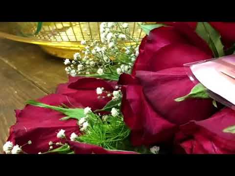 تمنيت أعود لبيتنا 