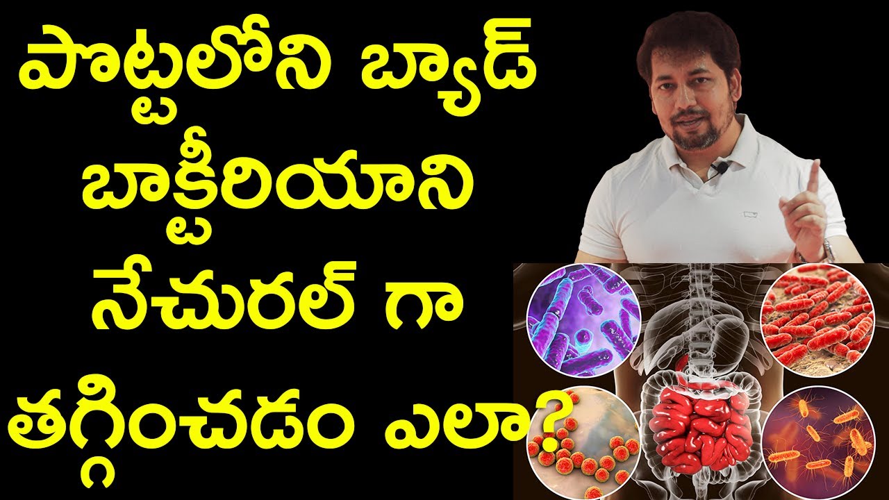 పొట్టలోని బ్యాడ్ బాక్టీరియాని నేచురల్ గా తగ్గించడం ఎలా? How To Fix Bad Gut Bacteria Naturally?