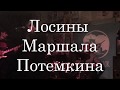 Лосины Маршала Потемкина — Стремные танцы Live @ Плавучий док 09.11.2019