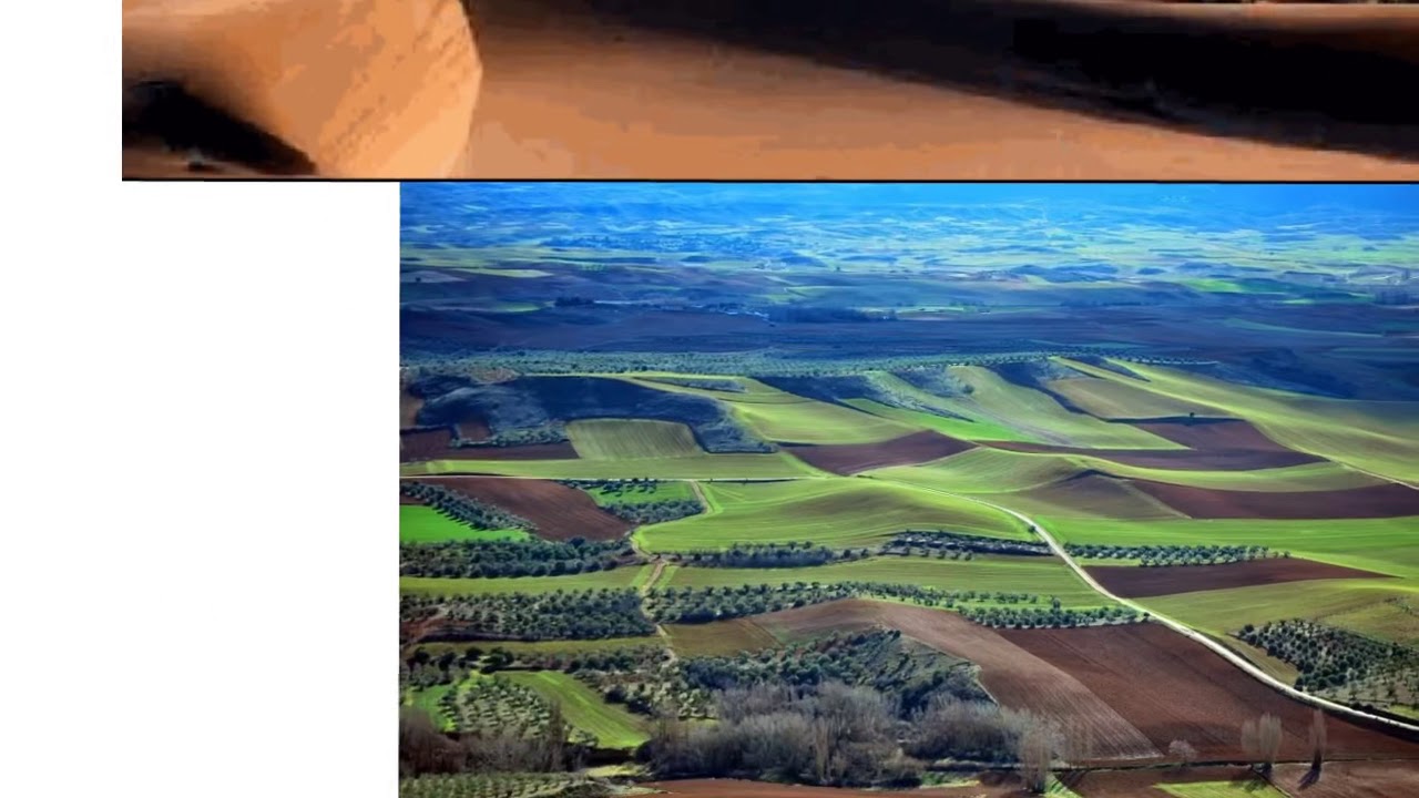 2ª parte: Repaso GEOGRAFÍA 2º BACHILLERATO. Tema 1.  El espacio geográfico español