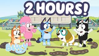 🔴LIVE: 2 HOURS Bluey Pretends to Run a Circus with Friends! 🌟 🎪 | Bluey