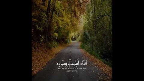 سورة الشورى من الآية ١٩ الى ٢٠ #قرآن