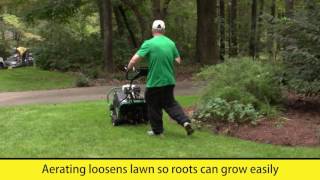 Tall Fescue Overseeding