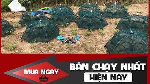 Lưới Bắt Cá Bát Quái 8-12-16 Cửa | A Cường 0982.510.555
