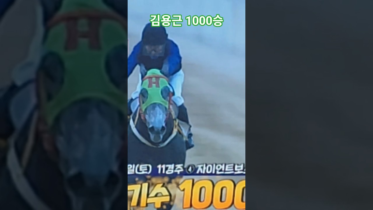 웃지말고 1000승해^^ (예시장)#경마 #말 # 달려라말 #shorts #마이웨이