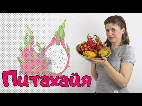 На вкус и цвет Питахайя разная бывает;) Что к чему и как это есть? #питахайя