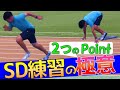 【スタートダッシュ練習】陸上短距離走のSDのポイントを解説【100m,200m,400m選手用】