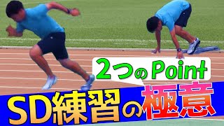 【スタートダッシュ練習】陸上短距離走のSDのポイントを解説【100m,200m,400m選手用】