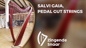 Salvi Gaia, pedal gut strings