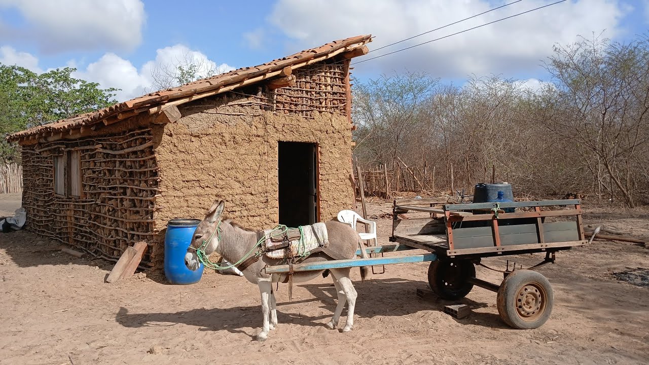 🔴 Minha rotina de todos os dias em busca de água aqui no meu sítio 😯🏡😱🥵💪🙏