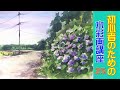 【HOW TO WATERCOLOR 25】Tutorial for Beginners/【初心者のための水彩画講座 25 】