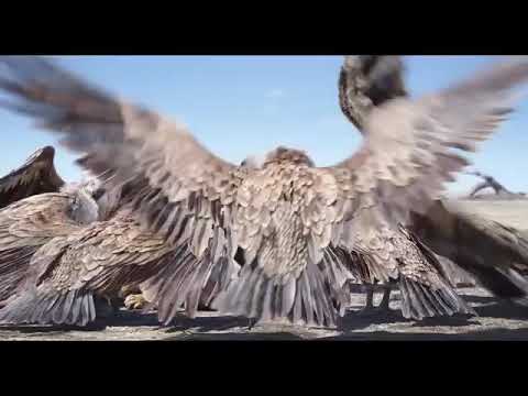 فيلم سمباا الجديد المنتظر بشدة 