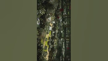 viewport vs Render #blender #blend3d #summervibes