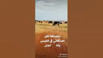 بله ودالاشبه 