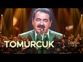 İbrahim Tatlıses Tomurcuk Arabesk AI Cover By Anadolu Vibes24 