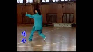 XingYi Rooster