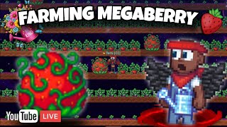 🔴[LIVE] Day 1🍓 Cari Megaberry Terbesar! Farming Strawberry | Crystal Realms Indonesia