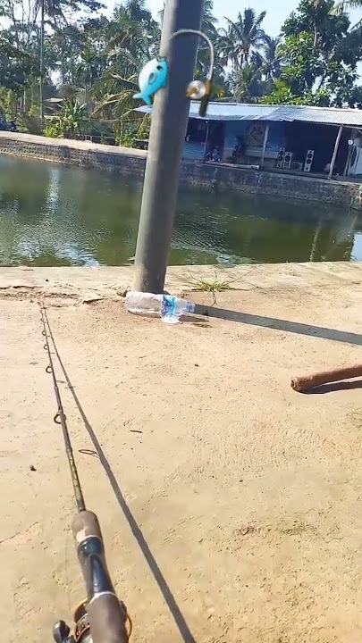 Mancing Hot🎣 Ikan Mas dan Ikan Nila‼️