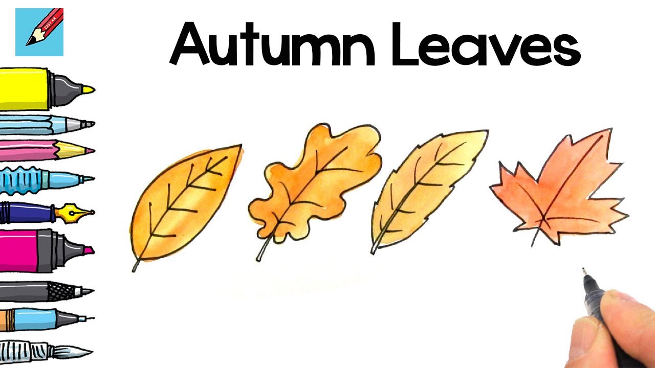 Free Vector | Hand drawn autumn leaves collection