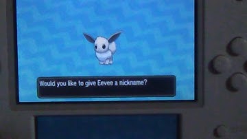 Shiny Eevee after only 12 SOS Calls