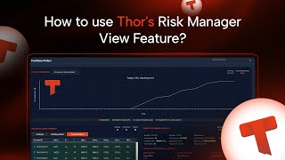 How to use Thor's Risk Manager View Feature?