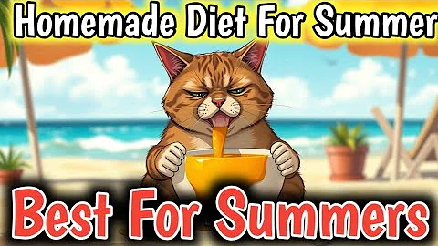 Watch the video about Best Homemade pumpkin Cat Food Recipe For Cats in Summer Season🥵😺 persian cat food recipe for Summer