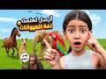 أيسل صارت تحكي وتفهم لغه وأفكار الحيوانات الحيوانات خبروا أيسل أسرار خطيره 