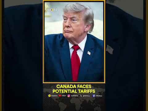 President Trump Demands Action on Canadian Forest Management Negligence | WION Shorts