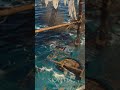 Jackdaw has sunken Black Flag Resynced