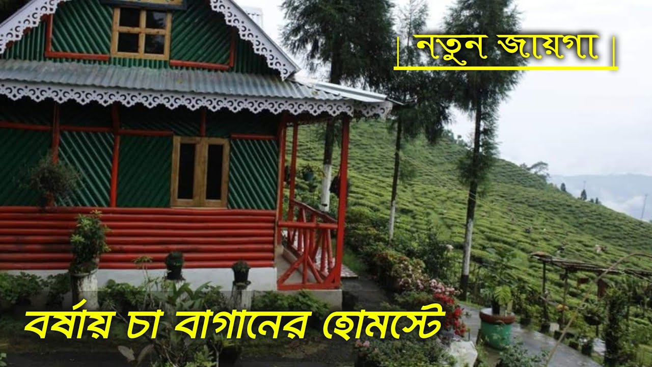 Rungmook Tea Garden ~ Raya Dhura, Darjeeling ↑ Travel Vlog 