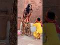 कृष्ण कन्हैया माखन चोर #viralvideo #trendingshorts #shorts #krishna #makhanchor #virdavan #yt