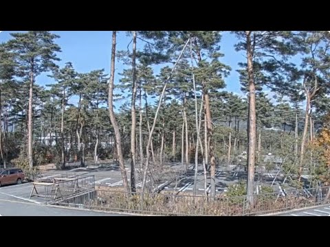 Fujisan Parking Parking Lot live cam preview