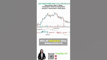 Phân kỳ MACD Histogram: Cách xác định đỉnh, đáy và đảo chiều xu hướng