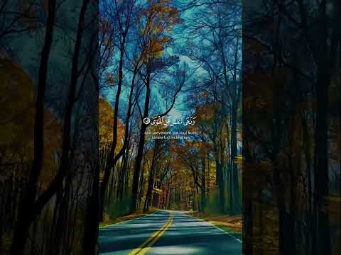 #duet #howtolearnmadaniqaidaeasily #video #unfrezzmyaccount #islamicstoriesinurduandhindi #love