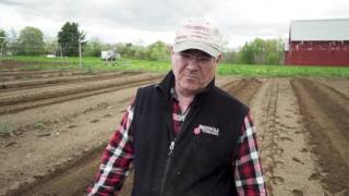 Between The Vines -  Planting new grapes