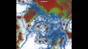 Volume Rendering Demo Video