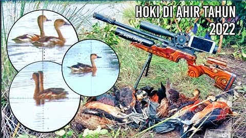 BERBURU BELIBIS MERAH DI AHIR TAHUN 2022