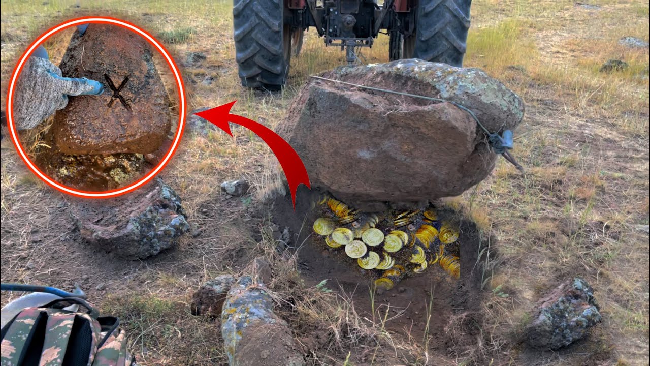 I smashed the big rock and got the cryptic treasure that the ant had