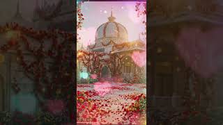 Khawaja Garib Nawaz Ajmer Sharif dargah #sort #video