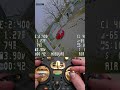 Mobula 8 Rips