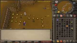 Skilling 2