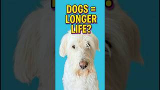 This dog adds years to your life #health #dogs