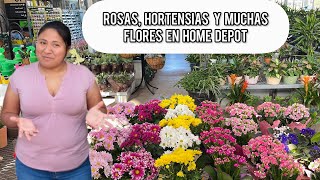 LLEGARON PLANTAS HERMOSAS Home Depot de Charlotte NC Rosas Orquídeas suculentas